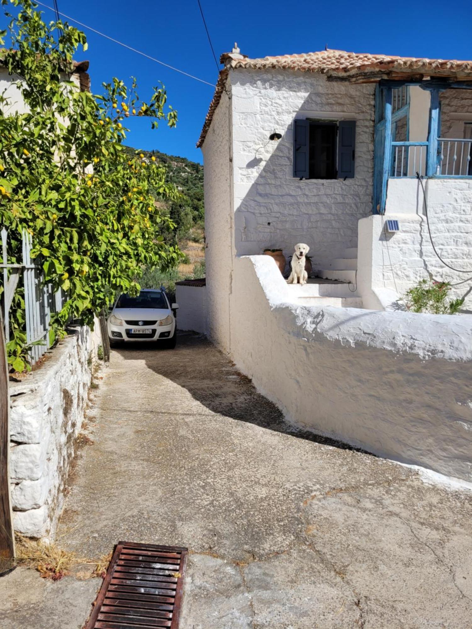 Lovely Traditionnal House With Sea View Tirós Extérieur photo