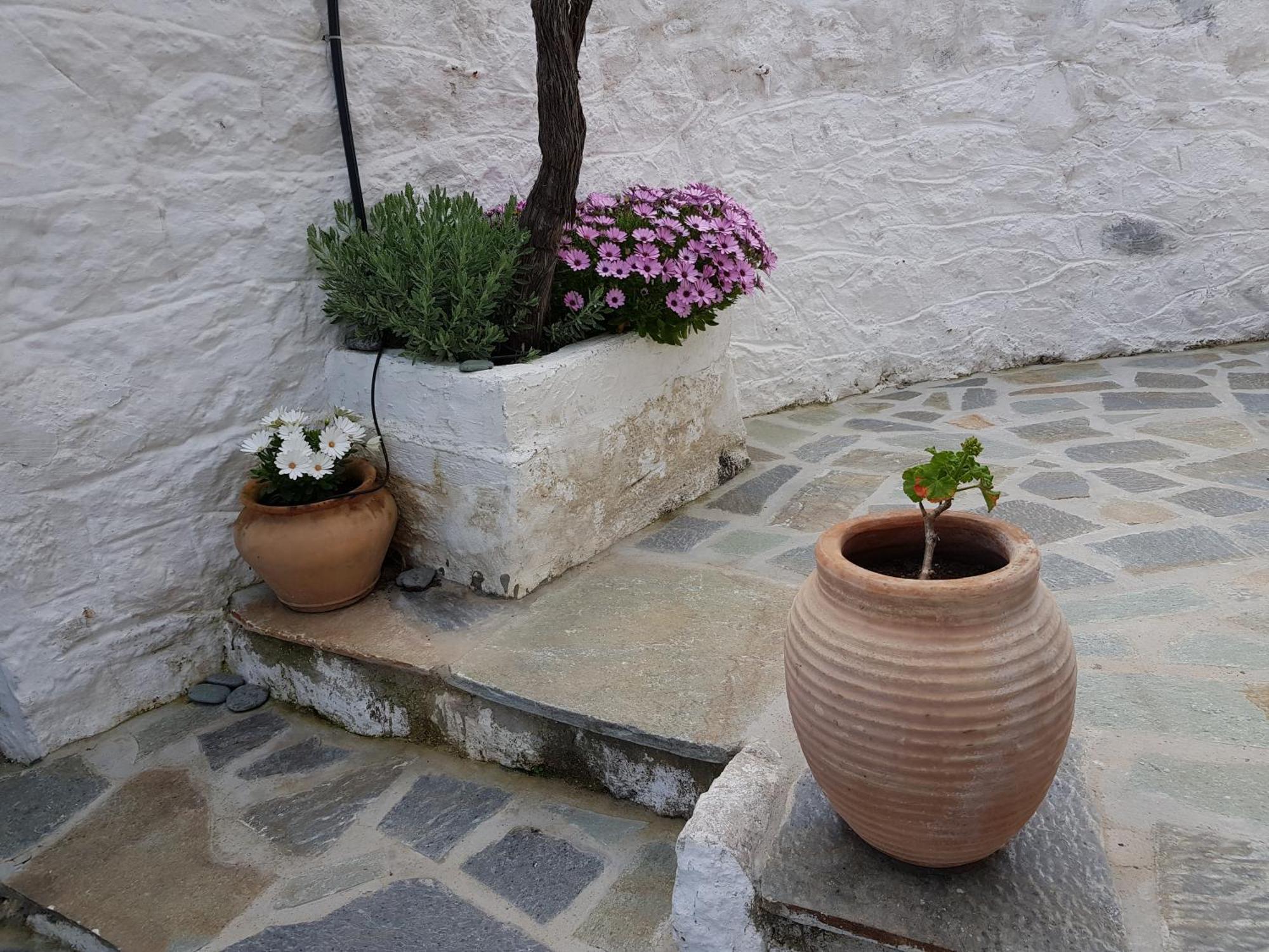 Lovely Traditionnal House With Sea View Tirós Extérieur photo