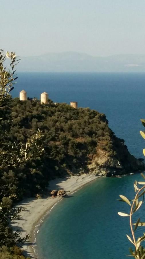 Lovely Traditionnal House With Sea View Tirós Extérieur photo