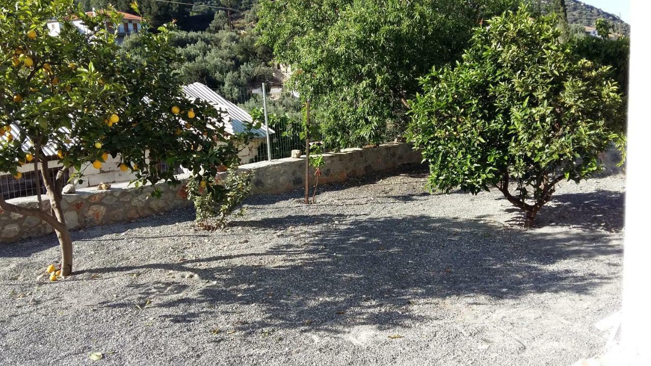 Lovely Traditionnal House With Sea View Tirós Extérieur photo
